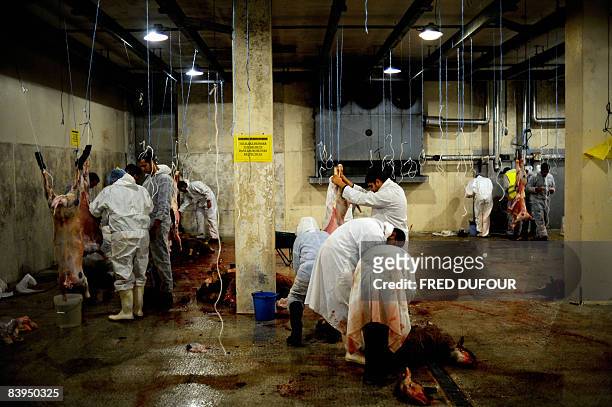 People slaughter sheep on December 8, 2008 in Bourg-en-Bresse, southeastern France during the Aid-el-Kebir sheep ritual. The religious holiday, Aid...