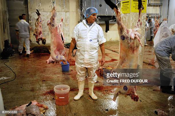 People slaughter sheep on December 8, 2008 in Bourg-en-Bresse, southeastern France during the Aid-el-Kebir sheep ritual. The religious holiday, Aid...