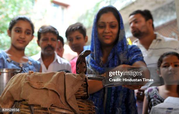 Devotees offer milk to a snake on Nag Panchami festival, on August 26, 2017 in Jammu, India. Nag Panchami is a traditional worship of snakes or...