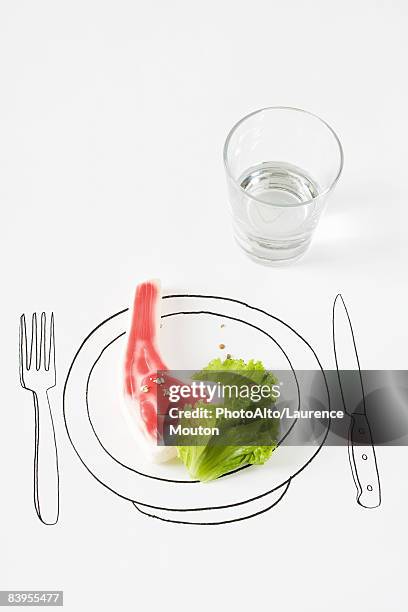 plastic steak and lettuce on drawing of plate - plastic plate fotografías e imágenes de stock