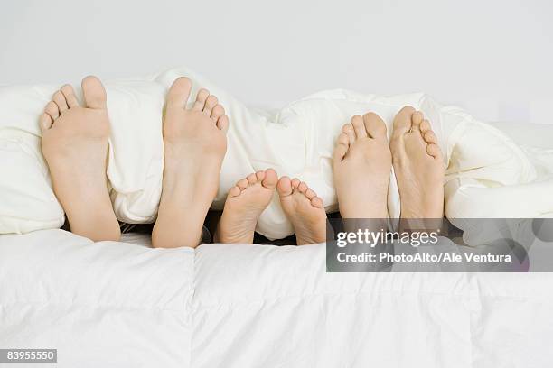 child lying between parents under comforter, only bare feet sticking out  - mens bare feet fotografías e imágenes de stock