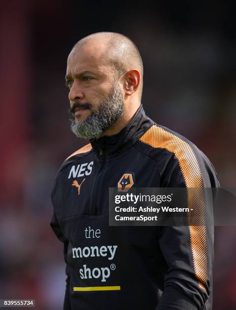 Wolverhampton Wanderers manager Nuno Esperito Santo before the Sky Bet Championship match between Brentford and Wolverhampton Wanderers at Griffin...