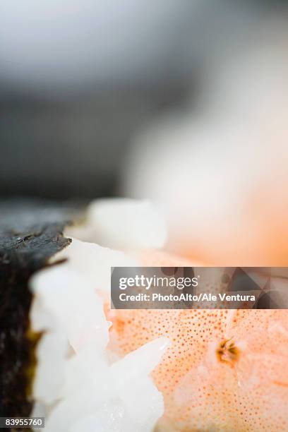 shrimp sushi, extreme close-up - nori stock pictures, royalty-free photos & images