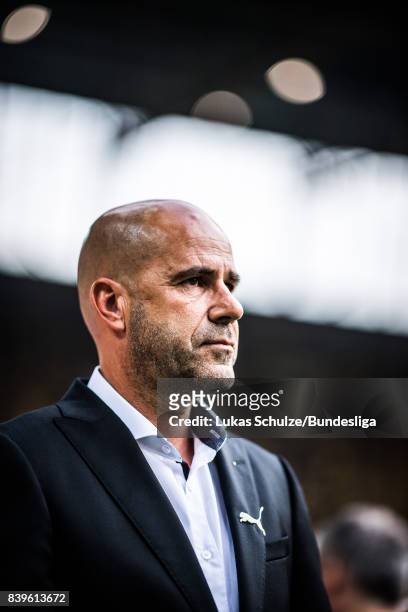 Head Coach Peter Bosz of Dortmund looks up prior to the Bundesliga match between Borussia Dortmund and Hertha BSC at Signal Iduna Park on August 26,...