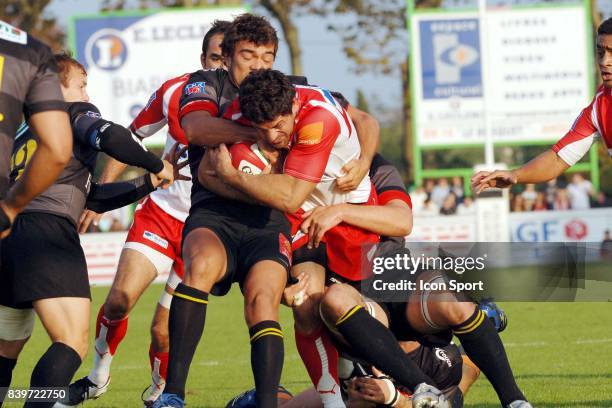 Andrea MASI - - Biarritz / Albi - 1eme journee du Top 14,