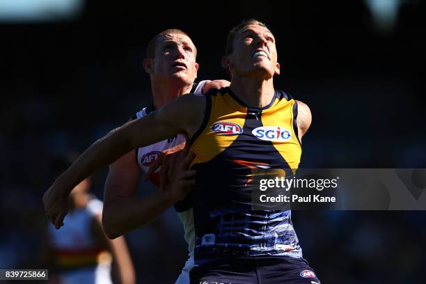 Sam Jacobs of the Crows and Drew Petrie of the Eagles contest the ruck during the round 23 AFL match between the West Coast Eagles and the Adelaide...