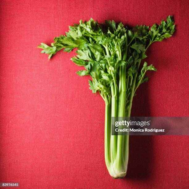 organic celery - stangensellerie stock-fotos und bilder