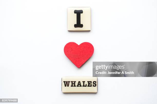 i love whales - magnet foto e immagini stock