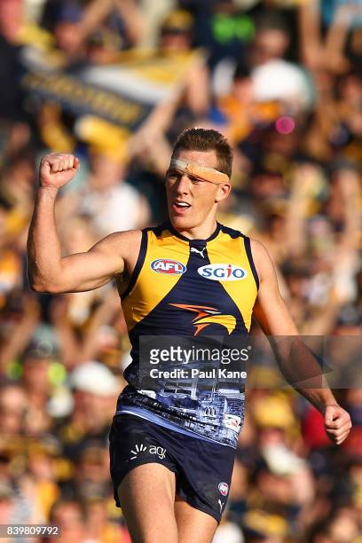 Drew Petrie of the Eagles celebrates a goal during the round 23 AFL match between the West Coast Eagles and the Adelaide Crows at Domain Stadium on...