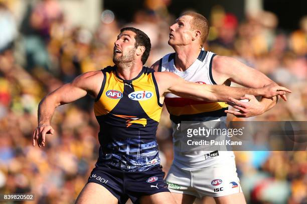 Jack Darling of the Eagles and Sam Jacobs of the Crows contest the ruck during the round 23 AFL match between the West Coast Eagles and the Adelaide...