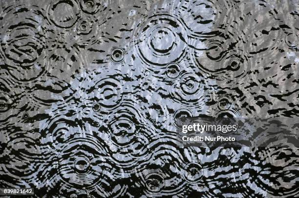 Rain Ripple Rim Image Rain Ripple Photos and Premium High Res Pictures - Getty Images