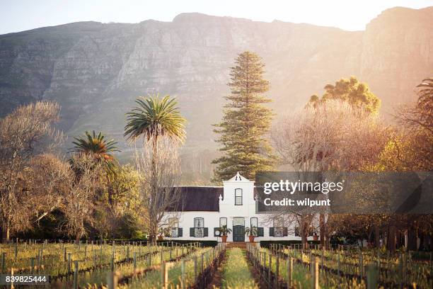 cape dutch winelands architecture - south africa wine stock pictures, royalty-free photos & images