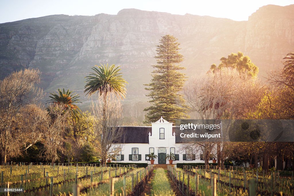 Dutch do Cape Winelands arquitetura