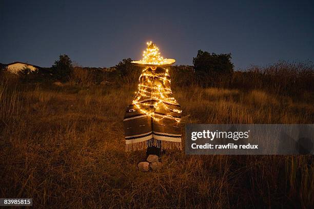 mexican xmas tree - silly christmas lights stock-fotos und bilder