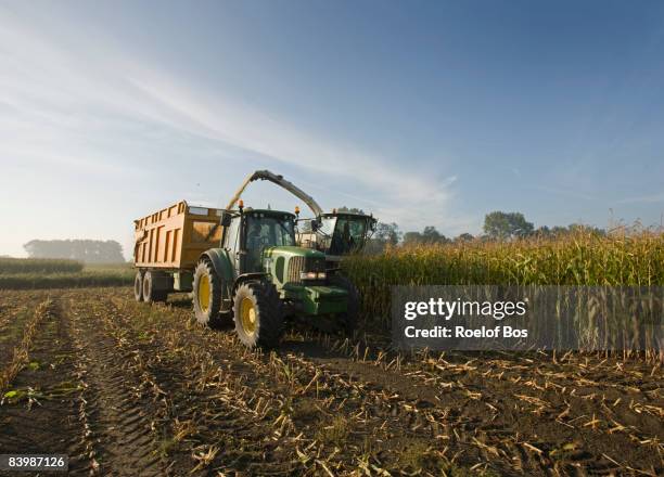 corn harvest with tractor, trailer and combine - pannocchia foto e immagini stock