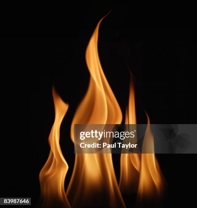 Flames of fire Flames of fire