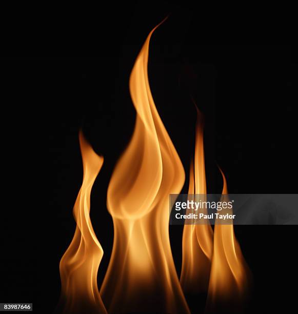 flames of fire - fire natural phenomenon stock-fotos und bilder