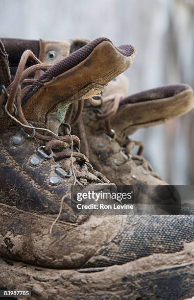 work-boots at an organic farm - work boot stock pictures, royalty-free photos & images