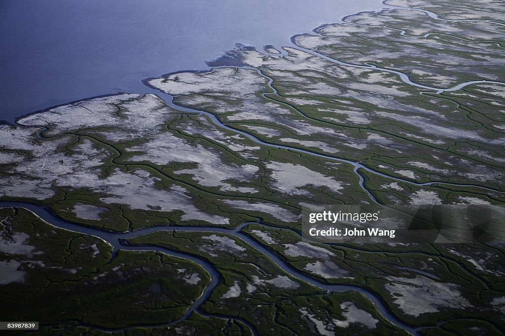 Aerial view of a swamp in Alaska