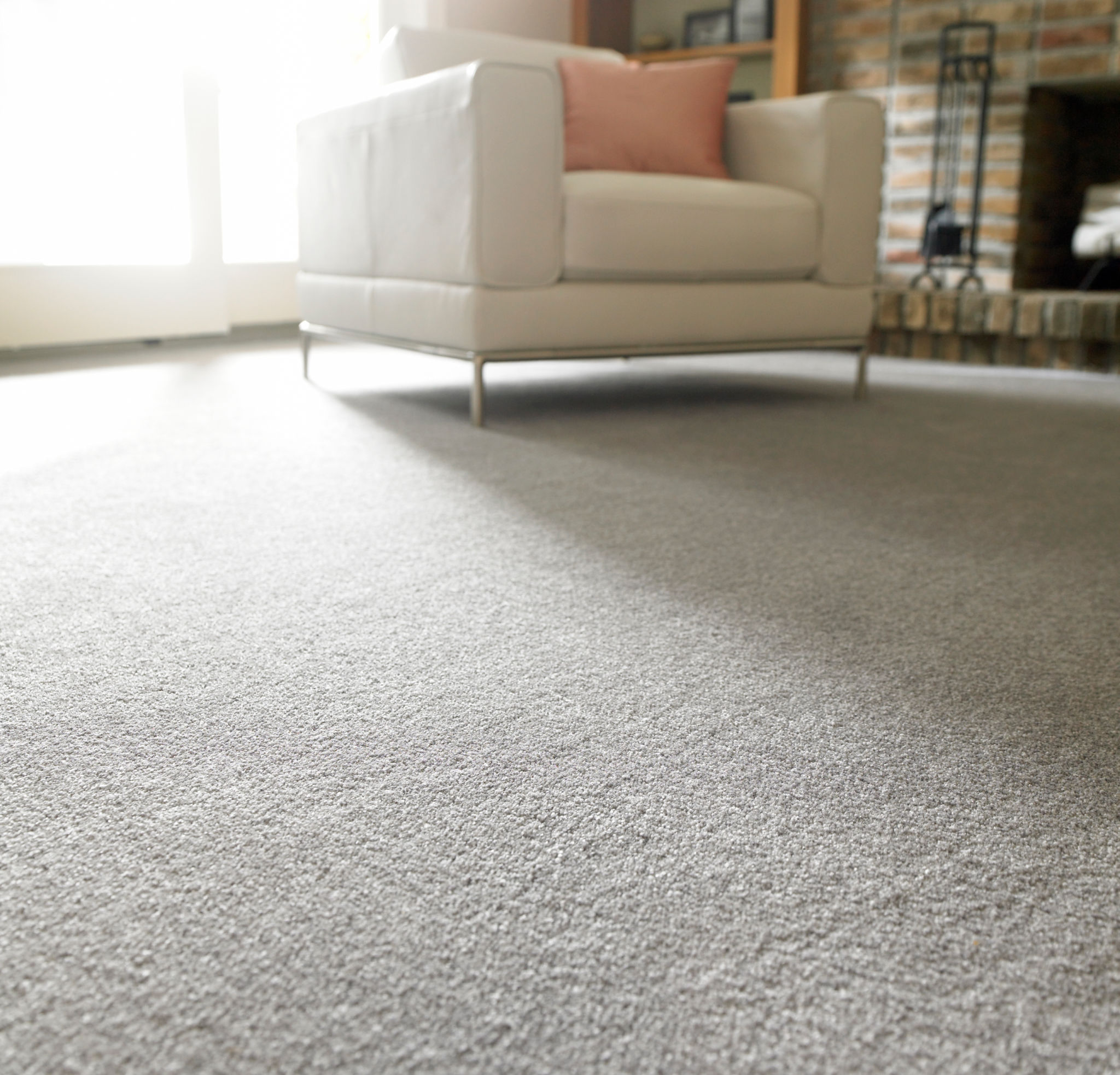 mold free carpet