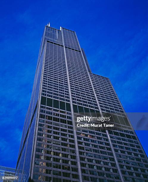 chicago, illinois - willis tower stock pictures, royalty-free photos & images