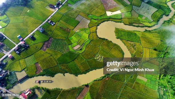 bac son valley from above - country geographic area stockfoto's en -beelden