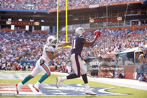New England Patriots Randy Moss in action, scoring touchdown vs Miami Dolphins. Miami, FL CREDIT: David Bergman