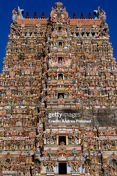 hindu temple in tamil nadu, india - sri meenakshi hindu temple stock pictures, royalty-free photos & images