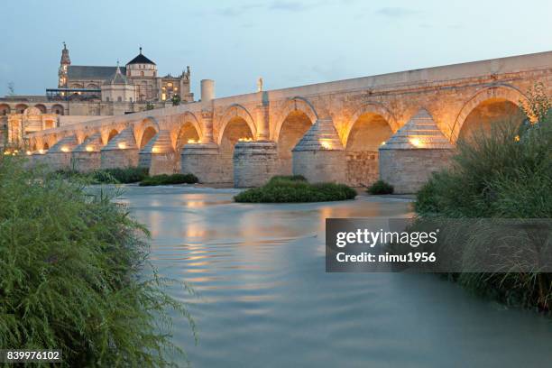 la mezquita-kathedraal en romeinse brug over de guadalquivir-cordoba, córdoba (córdoba) - spanje - islamismo stockfoto's en -beelden