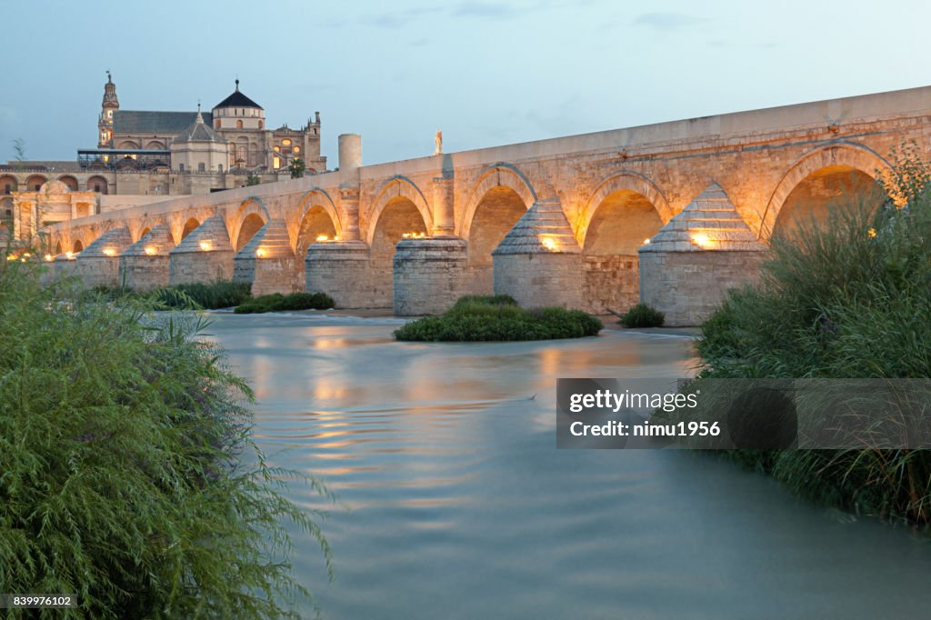 La Mezquita Cathedral and Roman bridge across the Guadalquivir – Cordoba (Cordova) - Spain