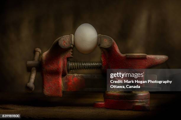 egg in a vise - vice fotografías e imágenes de stock