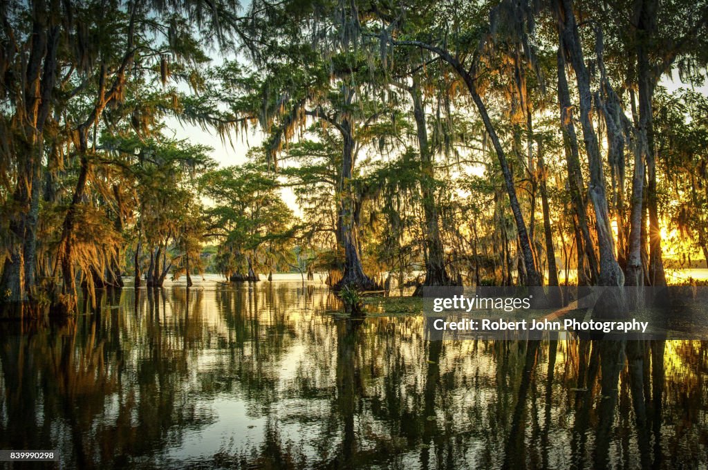 Louisiana pântano