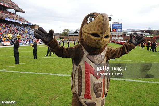 Mascot Testudo runs on the field before the game between the Maryland Terrapins and the North Carolina Tar Heels November 15, 2008 at Byrd Stadium in...