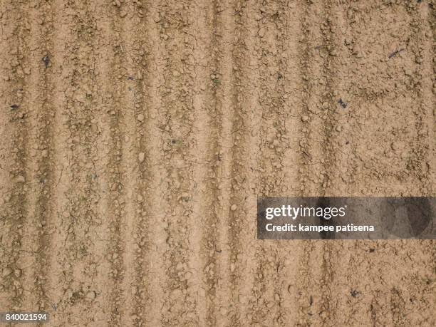 aerial view ; rows of soil before planting.furrows row pattern in a plowed field prepared for planting crops. - sembrar fotografías e imágenes de stock