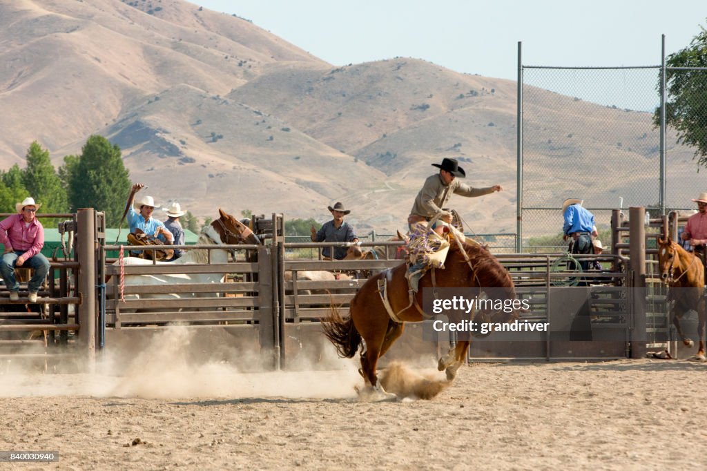 Horse Rider Rodeo Bronc Rider In A Rodeo High-Res Stock Photo - Getty Images