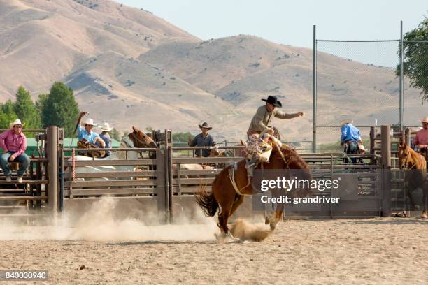 bronc rider in a rodeo - cowboy riding stock pictures, royalty-free photos & images