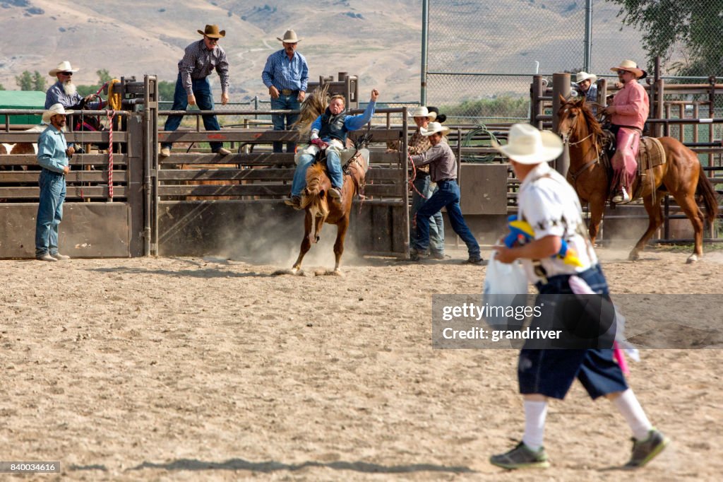 Bronc Rider in een Rodeo