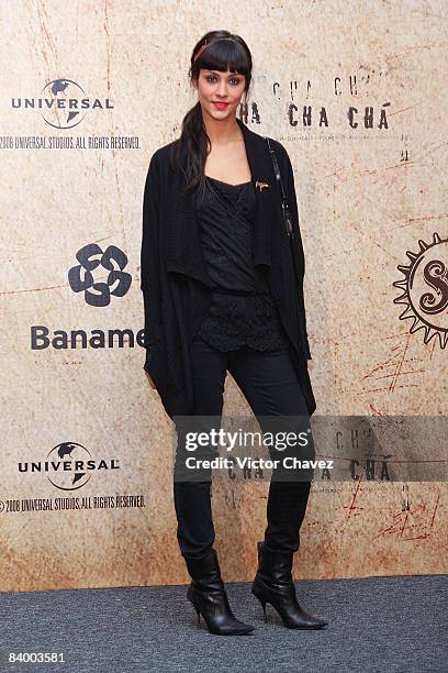 Actress Diana Garcia attends the premiere of "Rudo y Cursi" at the Teatro Metropolitan on December 10, 2008 in Mexico City.