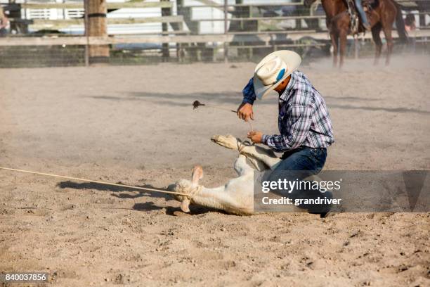 W G Roper 295 Rodeo Roper Stock Photos, High-Res Pictures, and Images - Getty Images