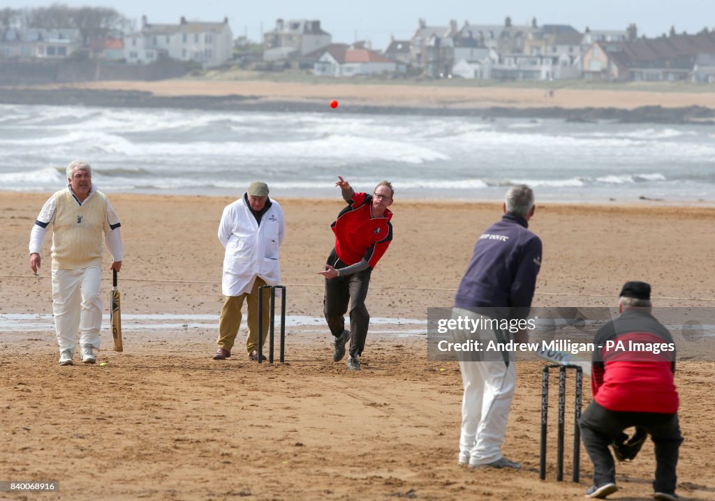 Local cricket grounds