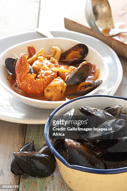 seafood platter with uncooked mussels - seafood platter bildbanksfoton och bilder