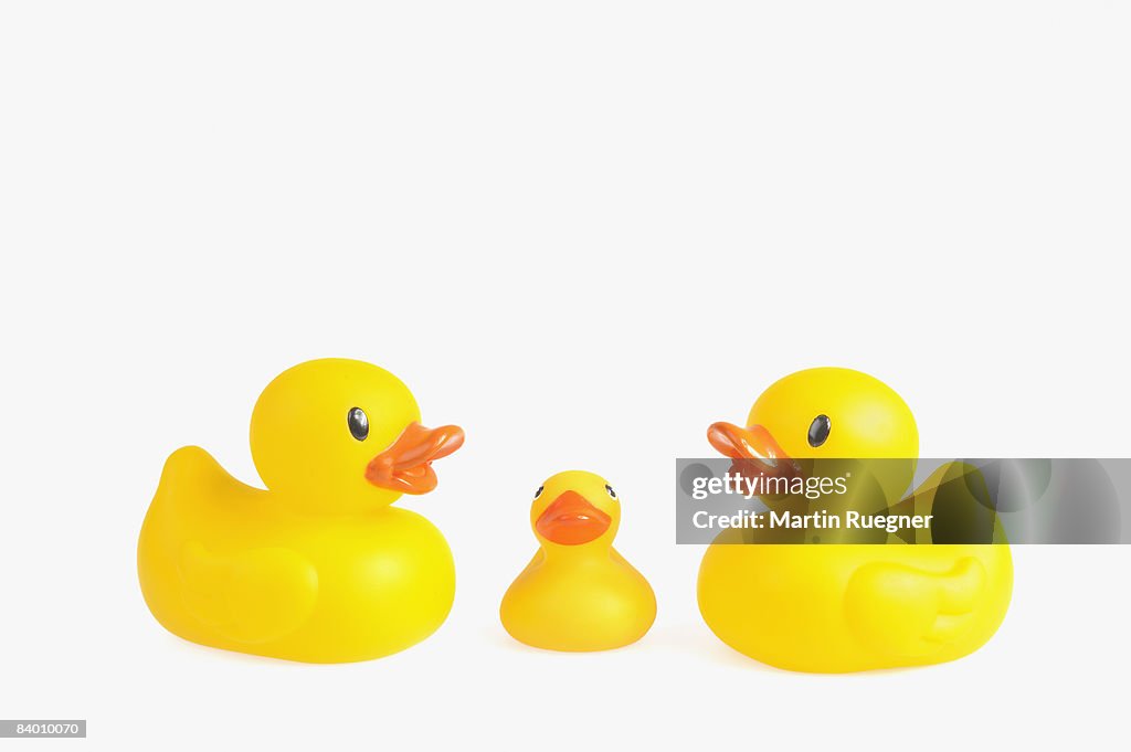 Rubber Duck Family.