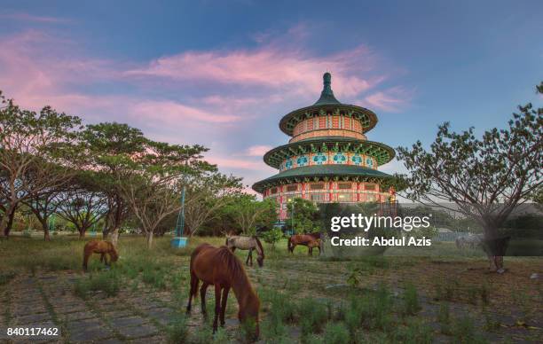 pagoda tian ti - kenjeran park - surabaya - east java - surabaya bildbanksfoton och bilder