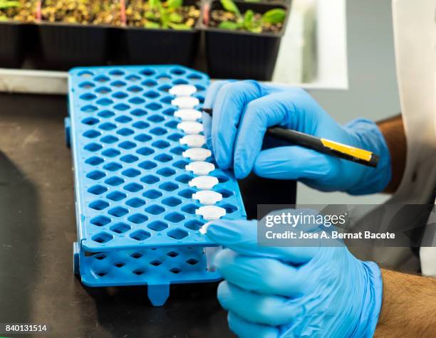 Gmo Label Lab Gmo Labeling Photos et images de collection - Getty Images