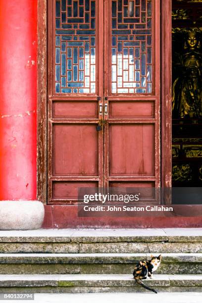 temple on sijiao island - shanghai temple stock pictures, royalty-free photos & images