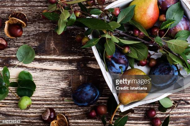 occasions. thanksgiving autumnal still life - date fruit photos et images de collection