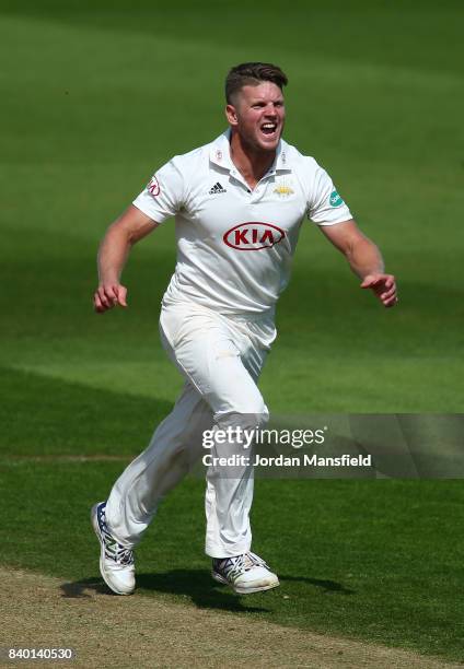 Stuart Meaker 198 Compton Surrey Stock Photos, High-Res Pictures, and Images - Getty ...