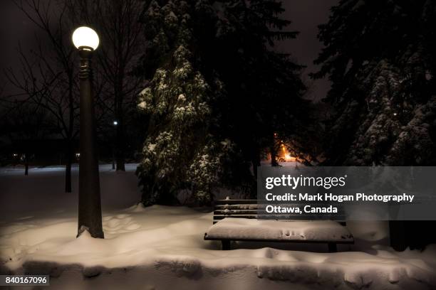 snowy bench - ottawa night stock pictures, royalty-free photos & images