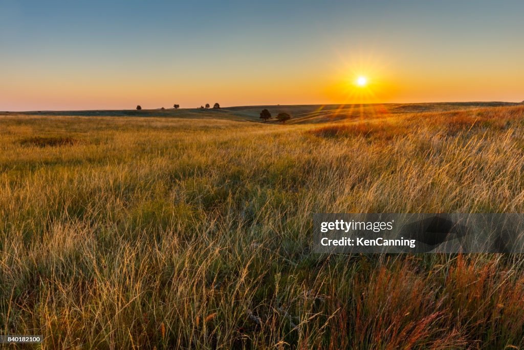 Pradera de americano grandes llanos al amanecer