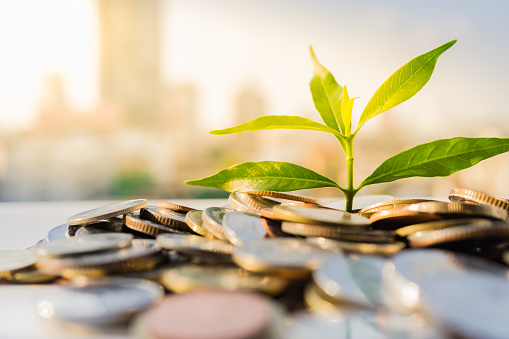 Finanzielles Wachstum Münzen Pflanze auf Stapel mit Stadtbild Hintergrund